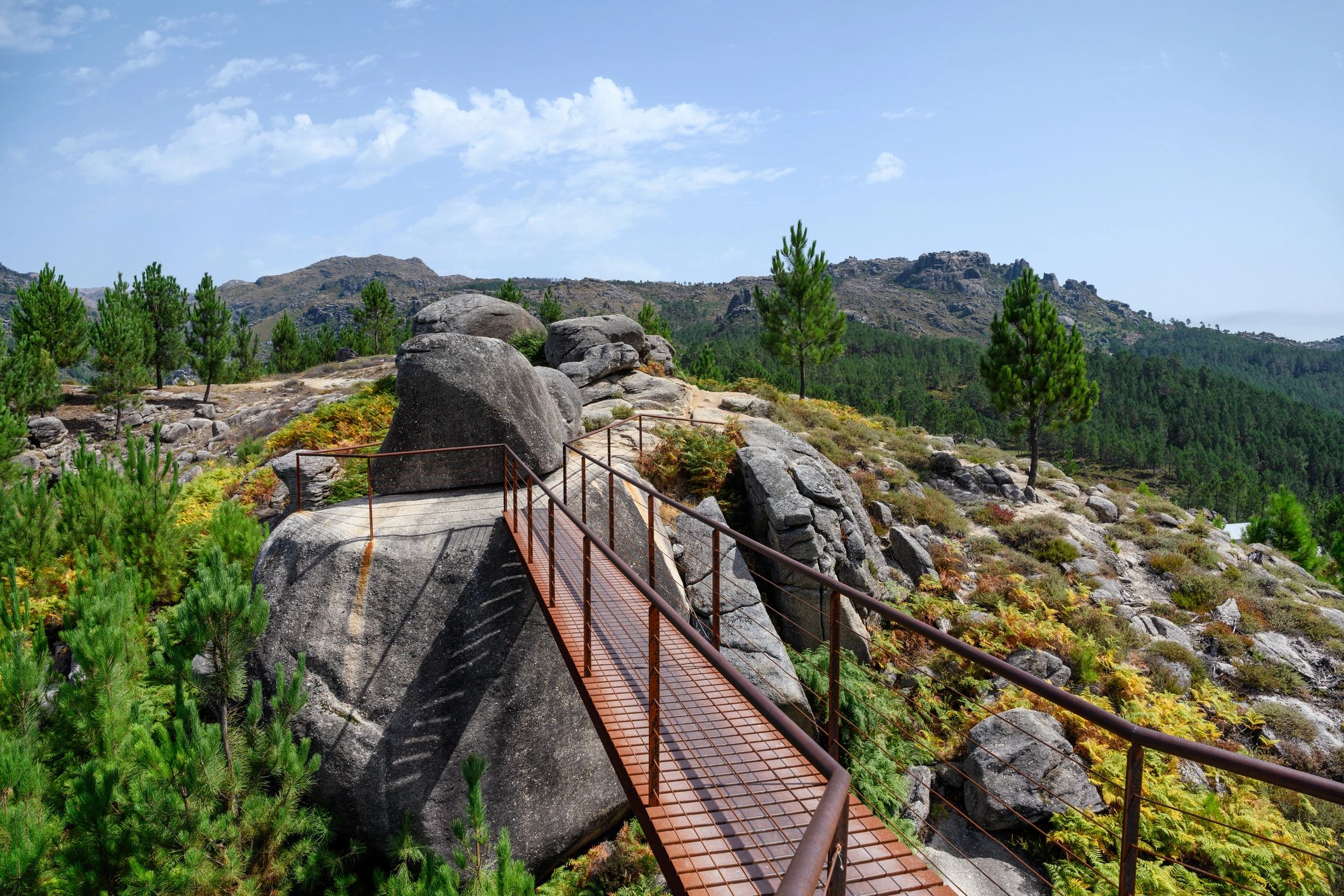 Mountain viewpoint and trail landscape