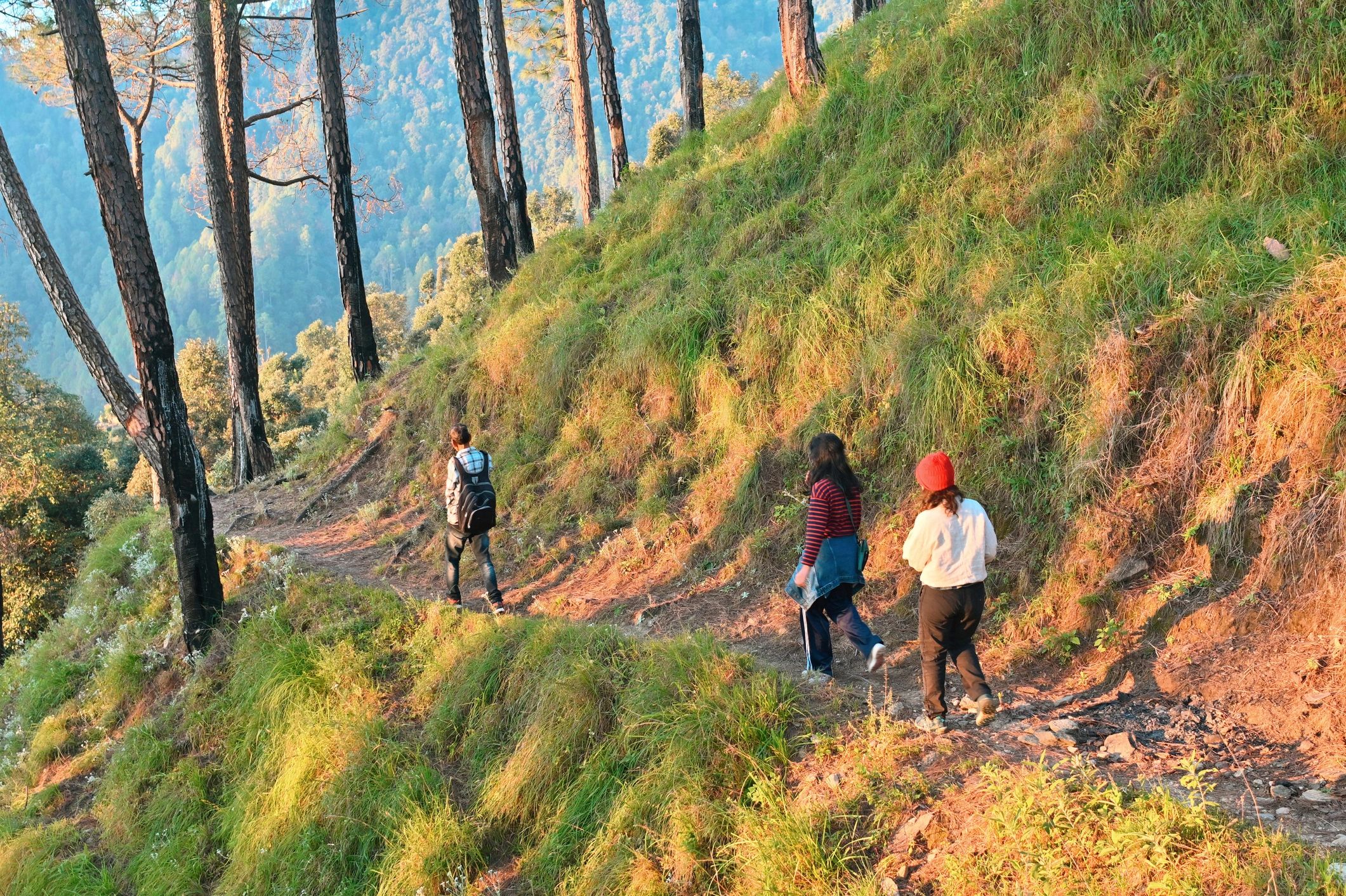 Travelers walking a forest trail in Uttarakhand