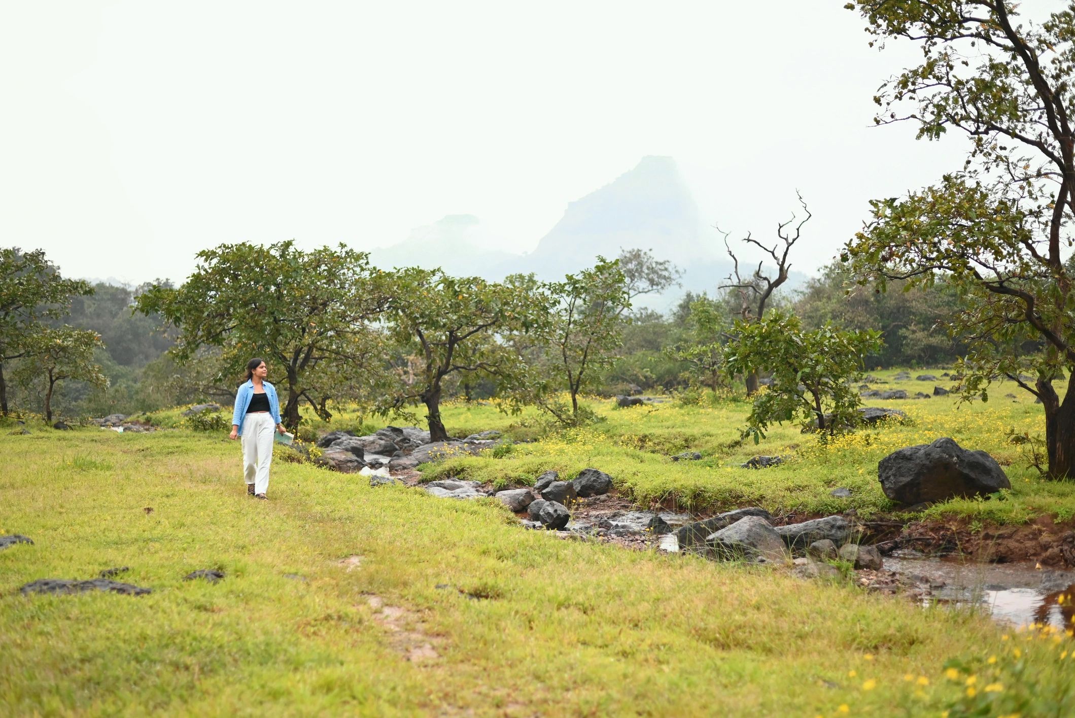 Traveler walking beside a stream in a green Indian meadow
